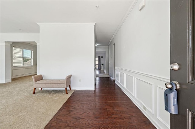 corridor featuring dark wood-style floors, a wainscoted wall, dark colored carpet, a decorative wall, and ornamental molding