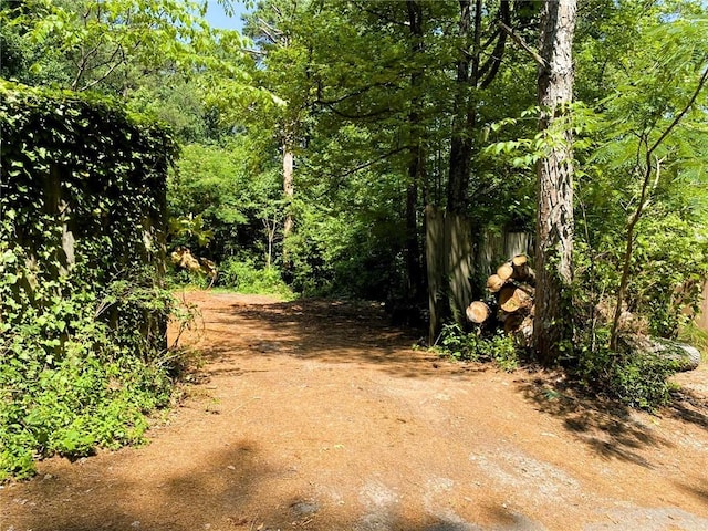 197 Tipton Ln, Acworth, GA 30102