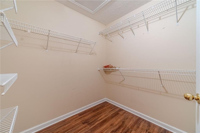 walk in closet featuring wood finished floors