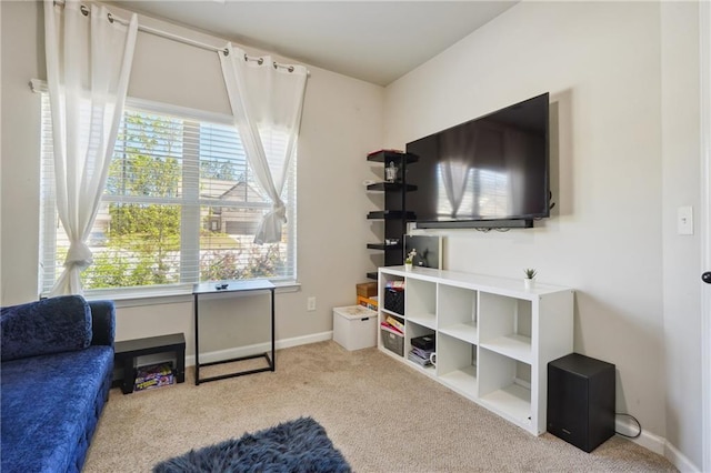 sitting room with carpet floors and baseboards