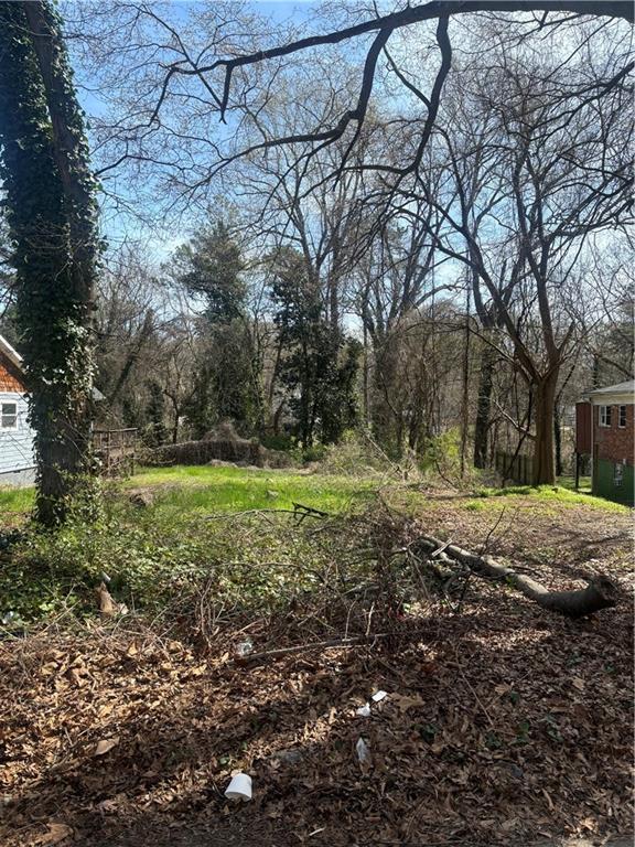 419 Lanier St NW, Atlanta, GA 30318 - view of yard