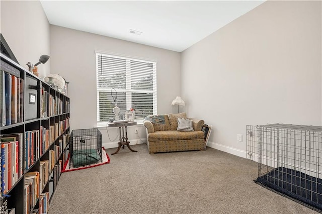 sitting room featuring carpet