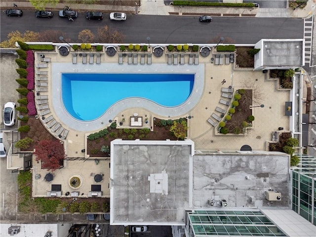 aerial view of a pool area