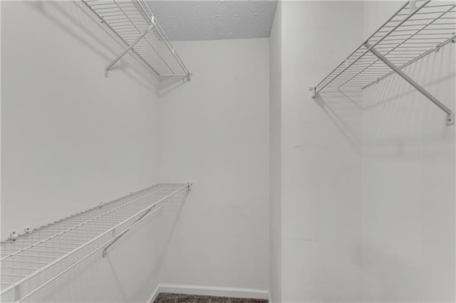 621 Kenridge Way Unit 0, Suwanee, GA 30024 - view of walk in closet