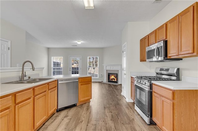 621 Kenridge Way Unit 0, Suwanee, GA 30024 - kitchen with appliances with stainless steel finishes, a sink, light wood-style flooring, light countertops, and a glass covered fireplace