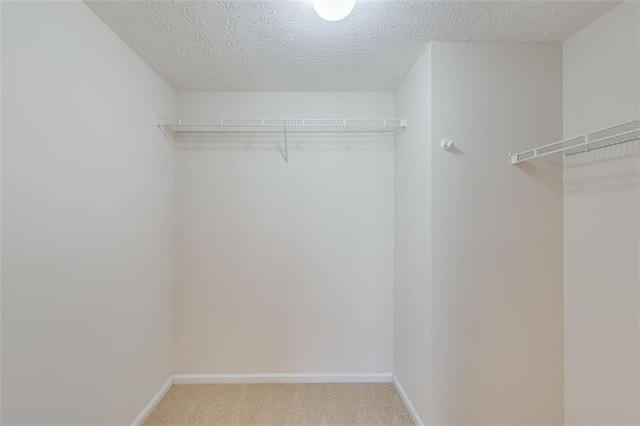 spacious closet with light carpet
