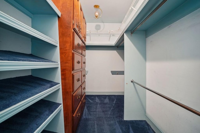 walk in closet with dark colored carpet