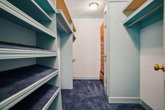 walk in closet with dark carpet