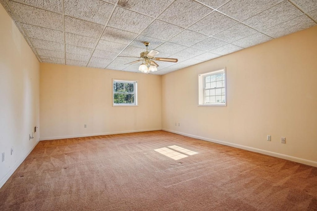 spare room with carpet flooring, a ceiling fan, a paneled ceiling, and baseboards