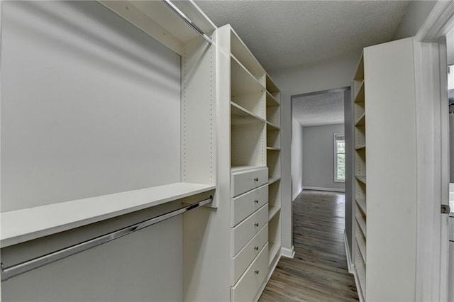 3650 Ashford Dunwoody Rd NE Unit 923, Atlanta, GA 30319 - walk in closet with wood finished floors