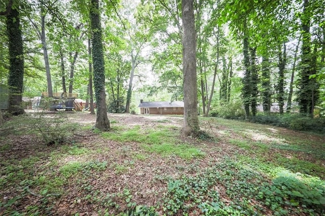 5666 Goldfield Dr, Acworth, GA 30102 - view of yard with a wooded view