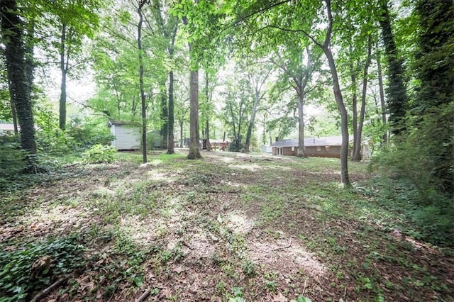 5666 Goldfield Dr, Acworth, GA 30102 - view of yard with a forest view