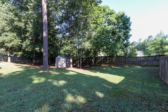 view of yard featuring a storage unit