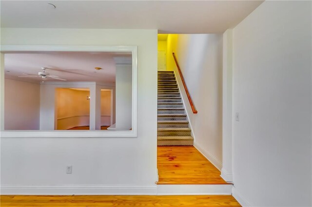 stairs featuring wood-type flooring and ceiling fan