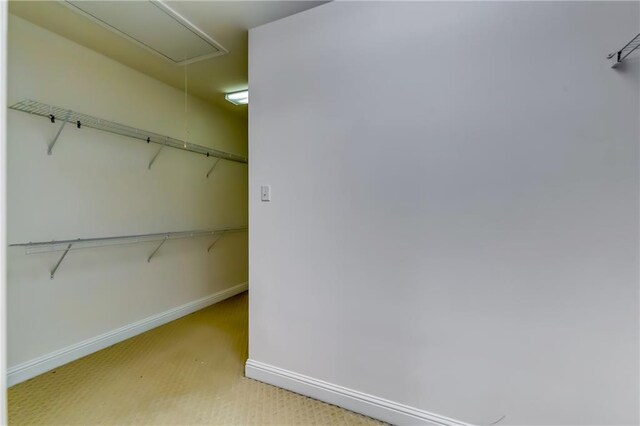 spacious closet with carpet flooring