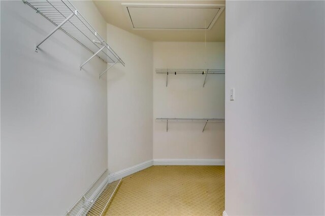 walk in closet featuring carpet