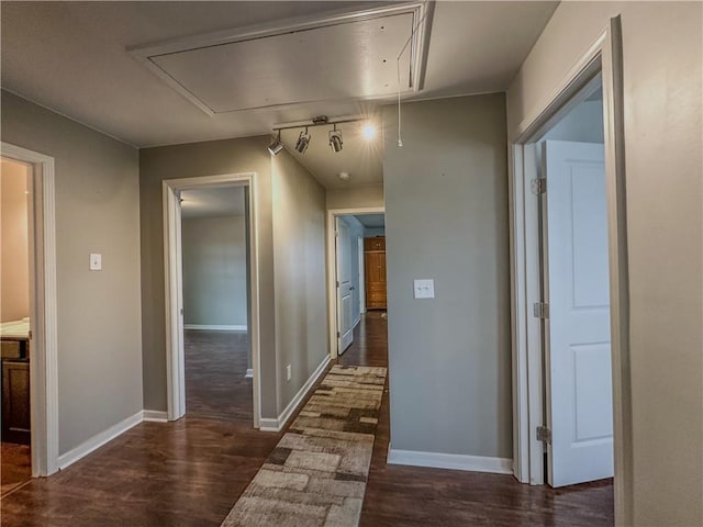 hallway featuring dark wood-type flooring and track lighting