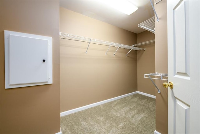 walk in closet with carpet flooring