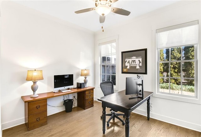 office area featuring light hardwood / wood-style flooring and ceiling fan