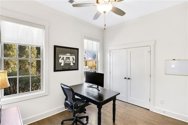 office featuring wood-type flooring and ceiling fan