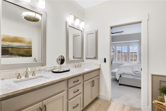 bathroom with vanity and wood-type flooring