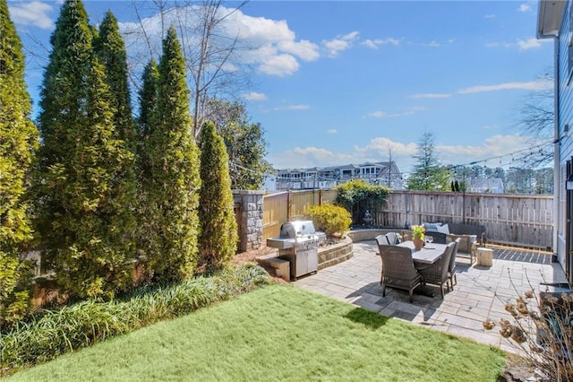 view of yard with a patio area