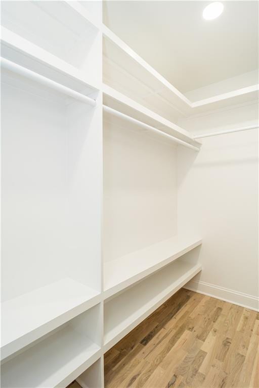 spacious closet with hardwood / wood-style flooring