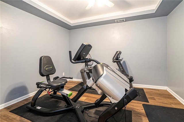 3392 Inns Brook Way, Snellville, GA 30039 - exercise area featuring baseboards, a raised ceiling, and wood finished floors