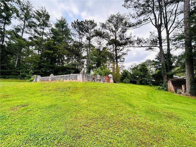 view of yard with a storage shed and an outdoor structure