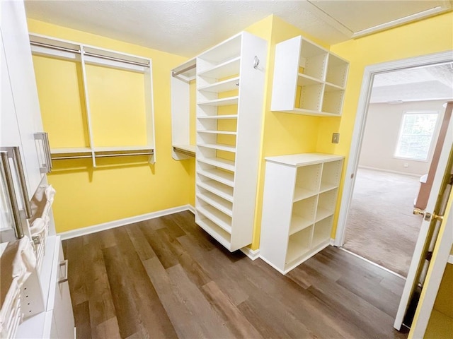 spacious closet with dark wood-style flooring