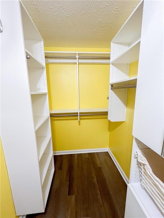walk in closet featuring dark wood finished floors