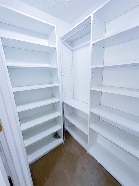 walk in closet with dark carpet