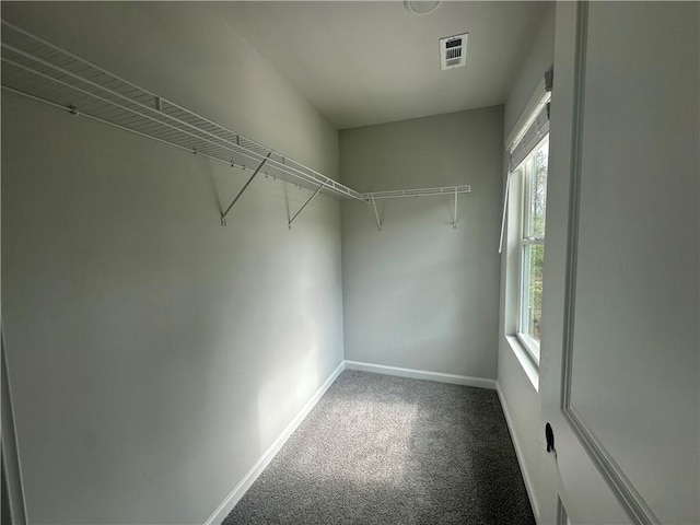 50 Emerald Ln, Covington, GA 30014 - walk in closet featuring carpet floors