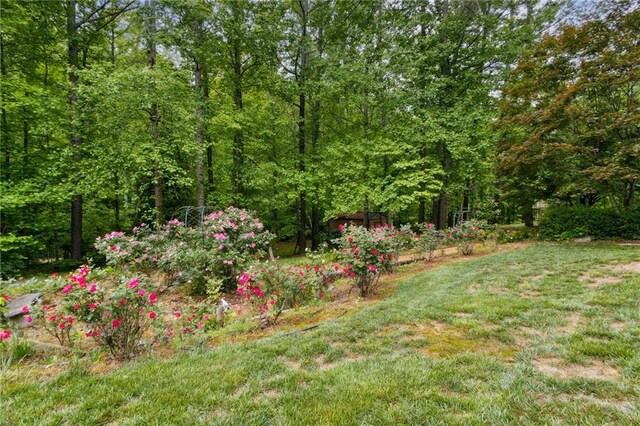 4135 Ashford Way, Gainesville, GA 30507 - view of yard featuring a view of trees
