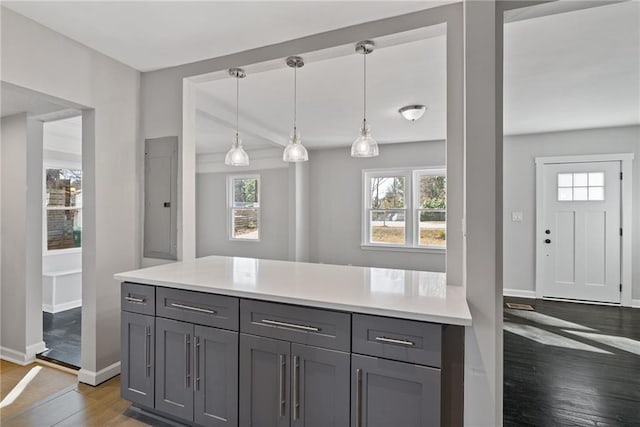 kitchen featuring decorative light fixtures, gray cabinets, and dark hardwood / wood-style floors