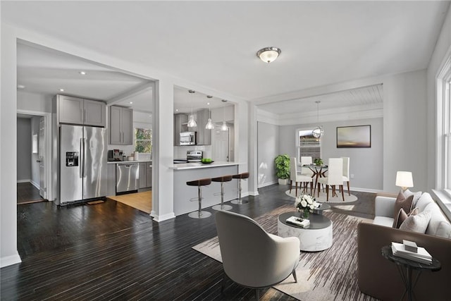 dining space featuring dark wood-type flooring