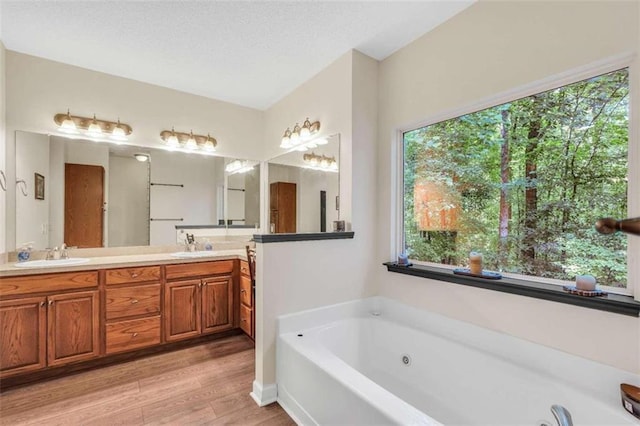 bathroom featuring a whirlpool tub, wood finished floors, double vanity, and a sink