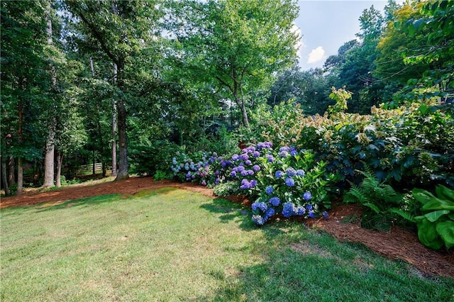 5004 Haralson Way SW, Lilburn, GA 30047 - view of green lawn
