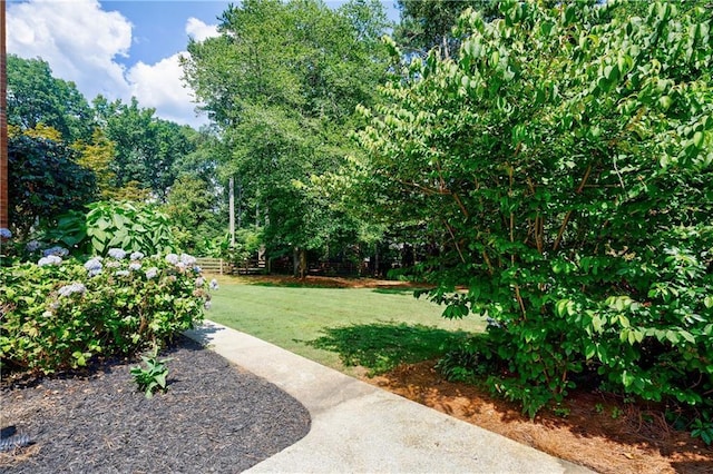 5004 Haralson Way SW, Lilburn, GA 30047 - view of green lawn