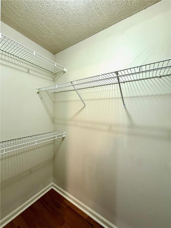 walk in closet featuring dark wood-type flooring