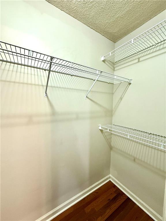 walk in closet featuring wood finished floors