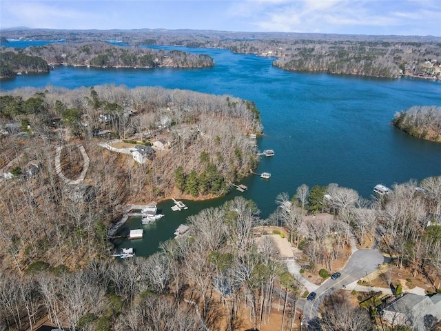 drone / aerial view featuring a water view and a view of trees