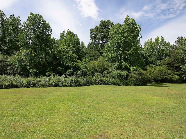 37 Montana Dr, Cedartown, GA 30125 - view of green lawn