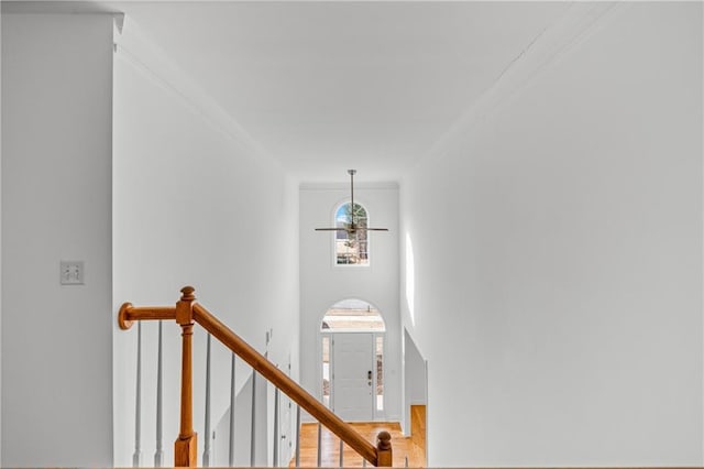 stairs with wood finished floors, a high ceiling, a ceiling fan, and ornamental molding