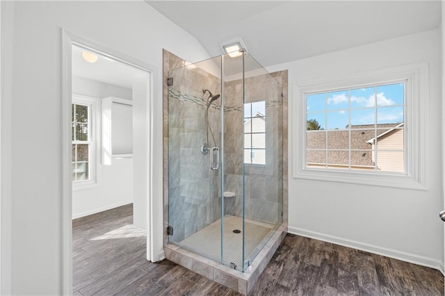 bathroom featuring a wealth of natural light, baseboards, wood finished floors, and a shower stall