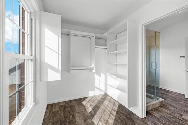 walk in closet with dark wood finished floors