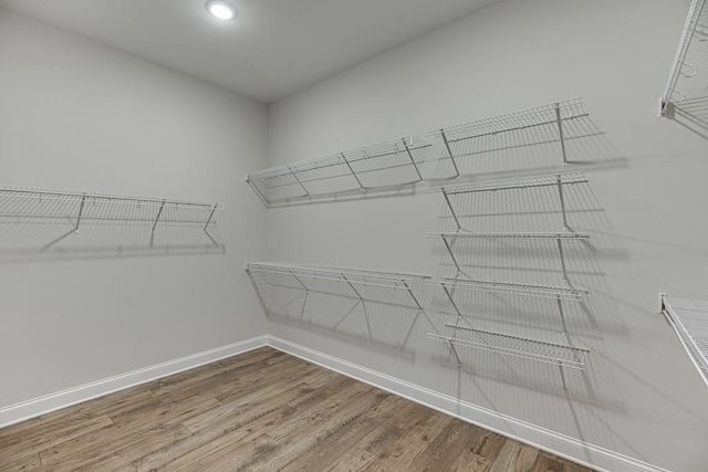 spacious closet with wood-type flooring