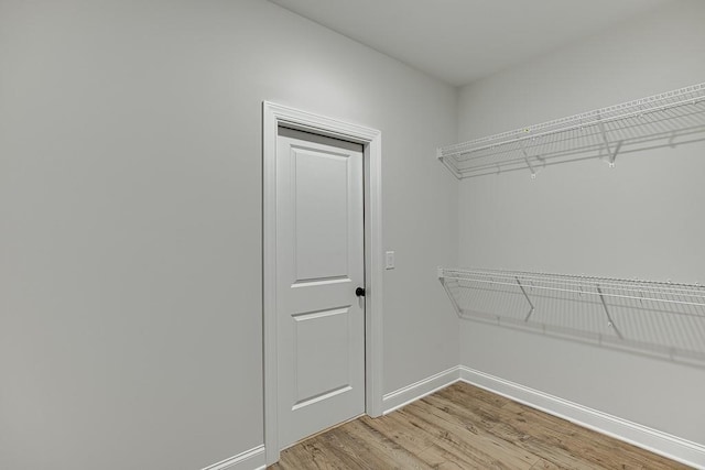 spacious closet featuring wood-type flooring