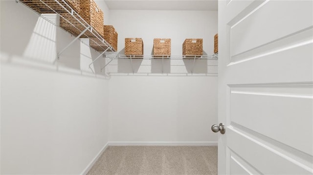 spacious closet with carpet