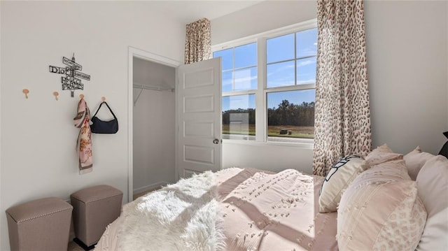 bedroom with a closet